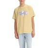Men's Levi's® Silvertab™ Logo Graphic Tee