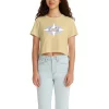 Women's Levi's® Silvertab™ Crop Graphic Logo Tee
