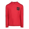 Boys 4-7 Under Armour Streetwear Logo Red Long Sleeve Hooded Tee